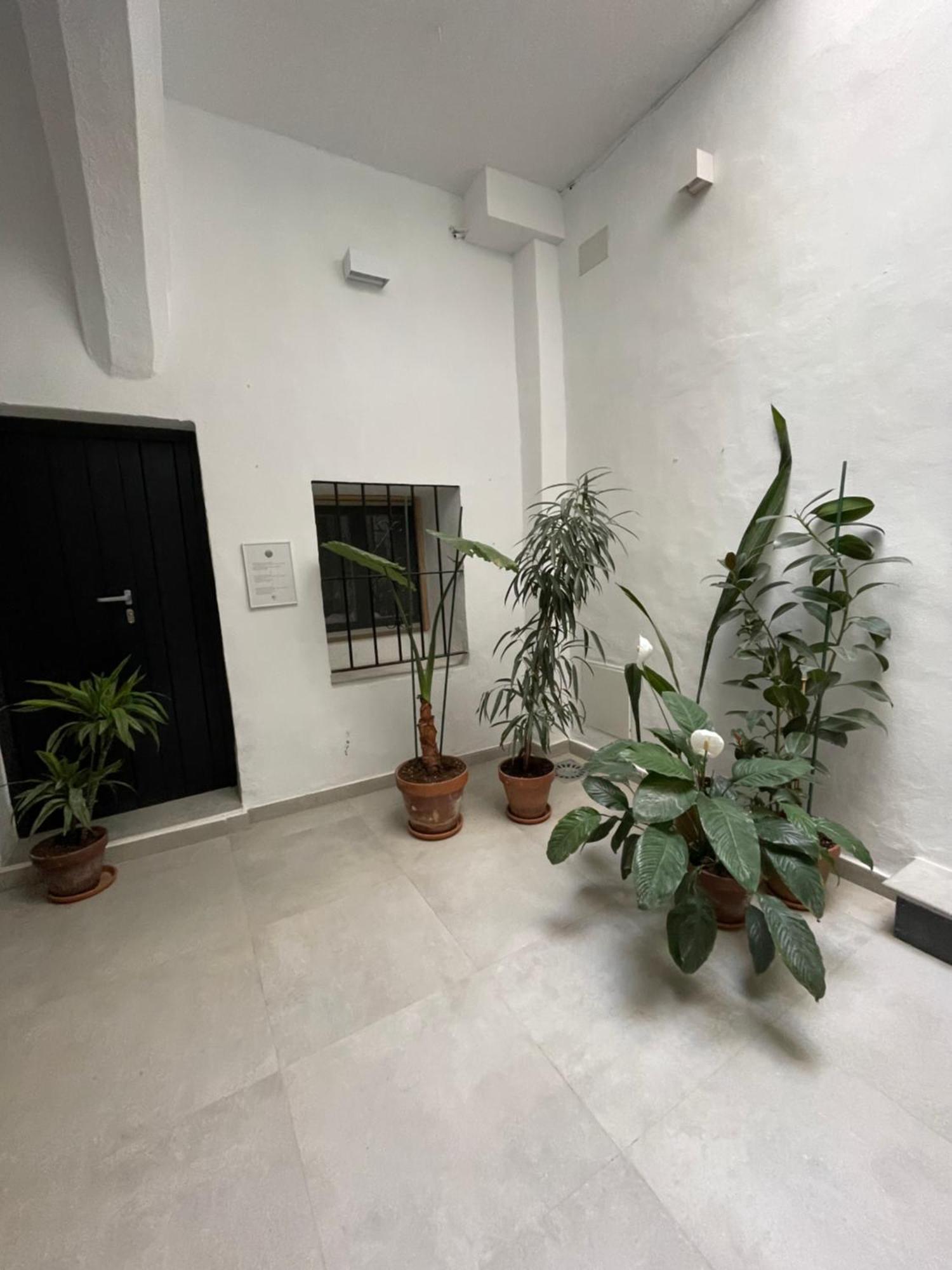 Casa Florinda Tarifa Apartamento Exterior foto